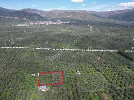 Bursa Orhangazi Çakırlı Mahallesi Satılık Hobi Bahçesi