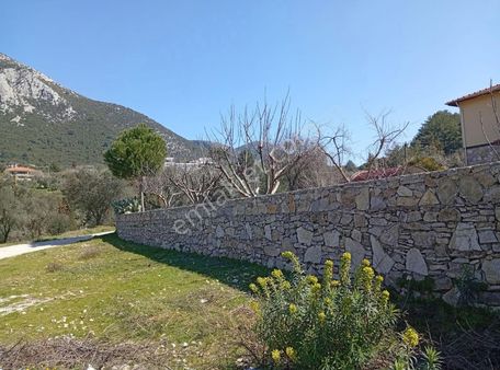 Fethiye Yeşil Üzümlü De Satılık Arsa