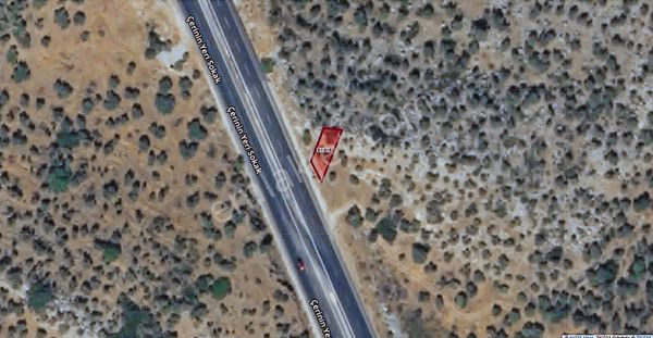 Muğla Milasta Ana Yol Üzeri Satılık Zeytinlik