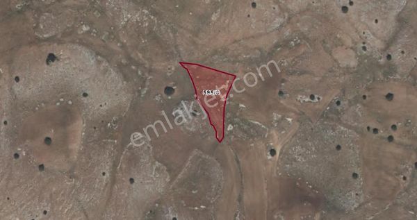 Antalya Korkuteli Taşkesiği Köyü Kazanpınarı Mevki Satılık Tarla No.20603