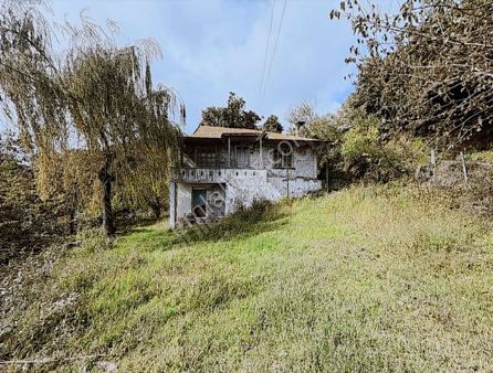 Perşembe Çerlide Satılık Müstakil Tapulu Fındık Bahçesi Ve Ev