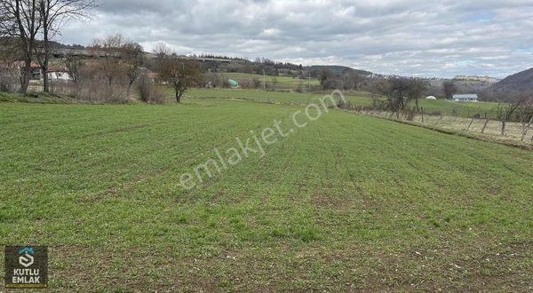 Yumrukaya Köy Yerleşik Alanında Satılık 2900 M2 Tarla