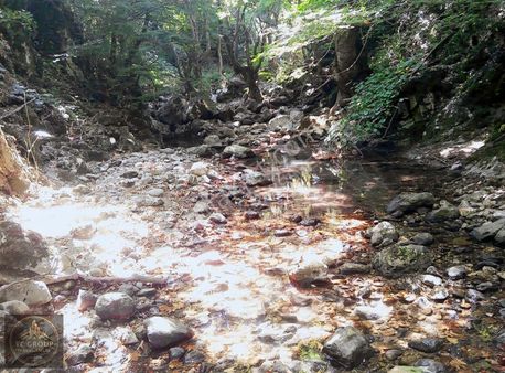 Ceviz Kurulumu İçin Analizlere Göre Alınan Yarı Fiyatına Tarla