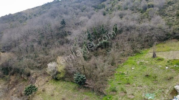 Trabzon'da Satılık Arsa