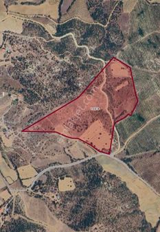 💎 Salihli Poyraz’da 120 Dönüm Yatırımlık Arazi – Tek Tapu Fırsat ! 🌿