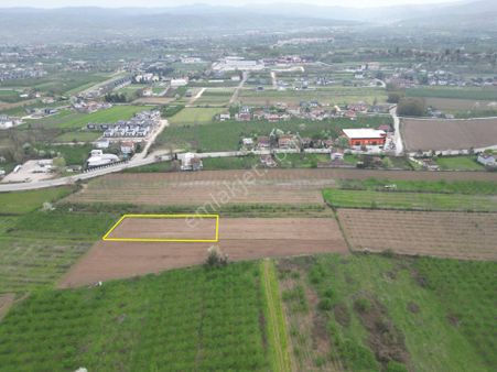 Nv Gayrimenkul'den Düzce Merkez Sinirci Köyü’nde 1377 M2 Satılık Arazi
