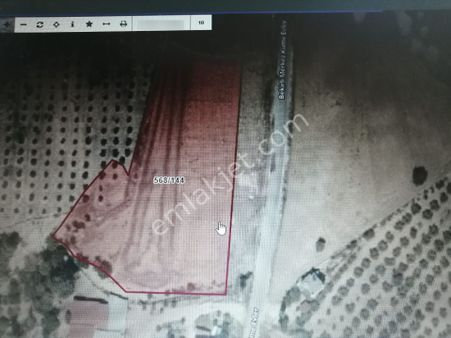 Emfadan Adana İli Karaisalı İlçesi Bekirli Köyü Yol Kenarı Hisseli 350 Metre Tarla