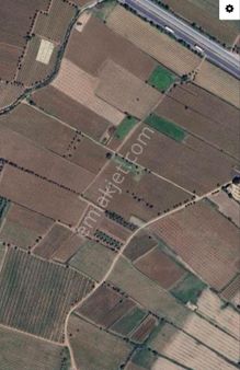 Salihli Mersindere ‘de 12.500 M2 Satılık Üzüm Bağı Fırsat !