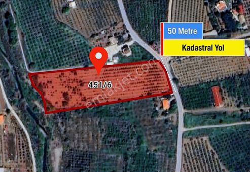 Kemalpaşa Bağyurdu'nda Satılık 10.123 M2 Bağ Ve Tarla