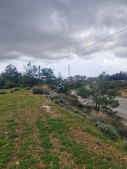 Aslan'dan Toroslar Da Cadde Cepheli Manz Tek Tapu Satılık Parsel