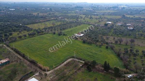 Procıty Den Kızılcaköy De 10.900 M2 Yatırımlık!!!!!