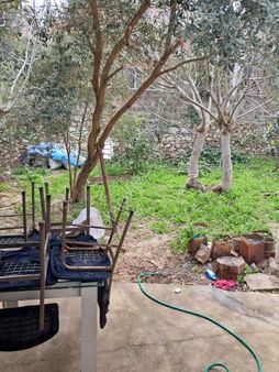 Konak Millet Mahallesinde 334m2 Arsa İçerisinde Tek Katlı Satılık Müstakil Ev