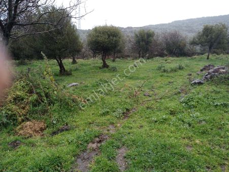 Aliağa Çıtak Mahallesinde İmarlı Arsa Satılıktır