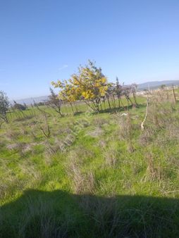 Bursa Kılıç Tan Karacabey Canbaz Köyde Satılık 1070m2 Tarla