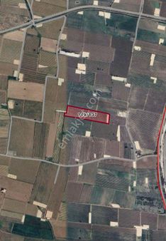 Manisa Salihli Kabazlı’da 10 Dönüm Üzüm Bağı –v Sistem, Damlama Sulamalı, Tek Tapu!