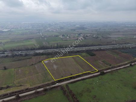 Bataklıçiftlik Köyü'nde 18.299 M2 Satılık Arazi