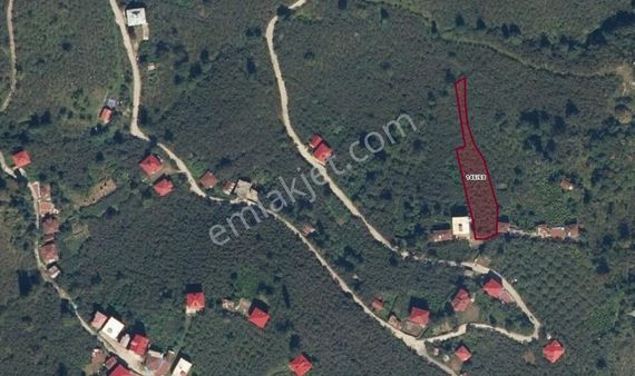 Vavien Emlak'tan Bahçeli Köyü İçerisinde Satılık Fındık Bahçesi