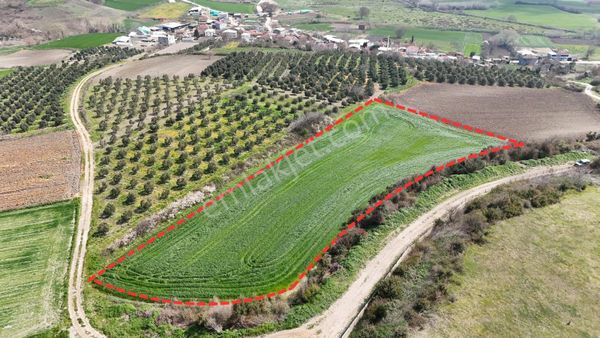 Mudanya Emirler Yenicesinde Satılık 8.211 M² Yatırımlık