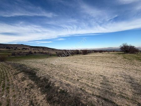 Mevsim Gayrimenkul Kalkantepe Müthiş Manzaralı Uygun Fiyat Tarla