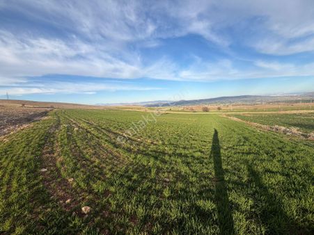 Mevsim Gayrimenkul Kozlukta Çayda Çıra Manzaralı Bahçelik Tarla