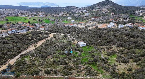 Antalya Kaş'ta 1483 M2 Doğayla İç İçe Deniz Manzaralı Arsa