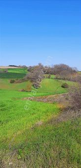Emlakyap Tan Silivri Bekirli De Satılık Tarla