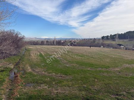 Akmezra'da Keban Yoluna Sıfır Su Elektrik Ve Çayı Olan Tarla
