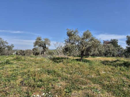 Kirazlı Çınar Gökçealan Köylerine Yakın Müstakil Tarlalar