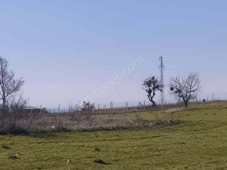 Ayaş Başayaş Köyünde Rıza-i Taksimi Yapılmış Uygun Fiyat Tarla