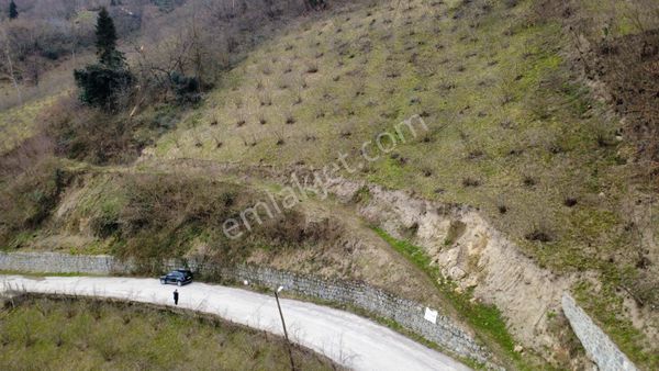 Trabzon'da Satılık Arazi