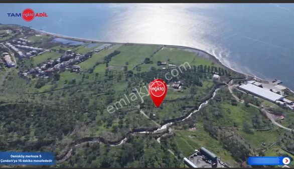 Denizköy'de Denize Yakın Konumda Yatırımlık Zeytinli Tarla