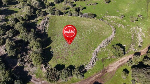 Dikili Demirtaş'ta Kaçırılmıycak Fiyatta 1813 M2 Satılık Bahçe