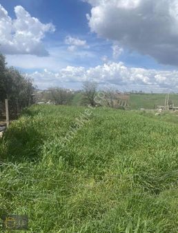 Çanakkale Işıklar Köyünde Arsa