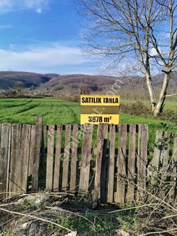 Düzce Kaynaşlı Merkez Mah De Satılık Tarla