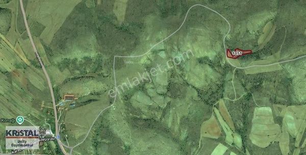 En Uygunu, Tepebaşı Karaçobanpınarı'nda Yola Cepheli Tarla