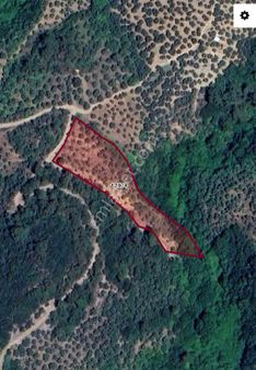 Bursa Mudanya Talatbey De Zeytinlik