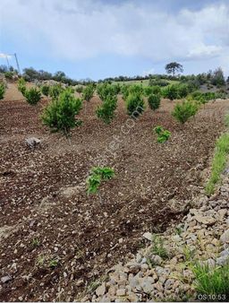 Sarıçukurda Süper Konumda Yazlık Villa Yeri