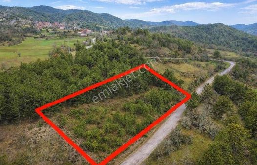Göynük Kürnüç Köyünde 2379 M2 Satılık Arazi