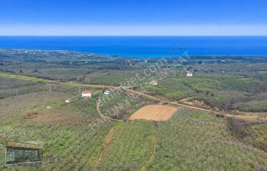 Yılmaz İnşaat'tan 4,100 M2 Deniz Manzaralı Fırsat Fındık Bahcesi