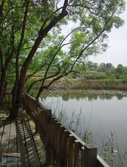 Şair Bile Kıskanır Deniz Kumsal Güneş Havuz Deniz Manzaralı