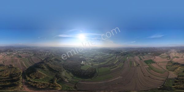 Sakarya Ferizli Söğütlü 2.251 M2 Fırsat Tarla