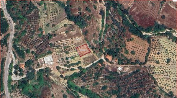 Burdur Bucak Kavacık Köyü Satılık Tarla