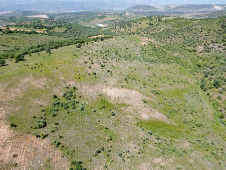 Salihlide Satılık Müstakil Tapulu Zeytin Ceviz İçin Uygun Arazi