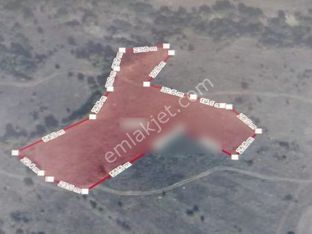 Bilecik Yenipazar Kuşça Köyü Satılık Takaslı 6707 M² Arazi