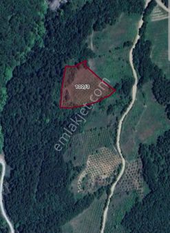 Sakarya Geyve'de 7.600 M2 Fırsat Arazi