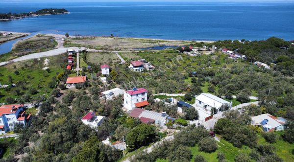 Bademli'de Denize 200 M Zeytin Bahçesi İçinde Müstakil Tripleks Villa