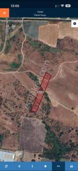 Balıkesir Manyas Yeniköy’de 5.627 M² Tarla