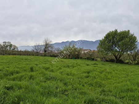 Bursa Yıldırım’da 3900m² Tarla Niteliğinde Arsa Ziyaret Yalnızca Randevuyla