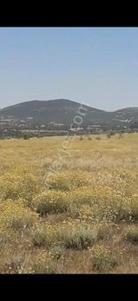 Salihli Beşyol Emlaktan Satılık 300 Dönüme Kadar Araziler