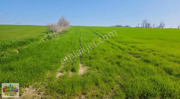 Çanakkale/gelibolu/bolayır Tek Tapu Tarla 22.720 M2 Satılıktır.
